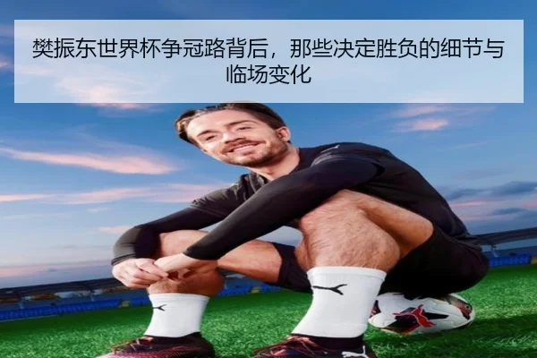 樊振东世界杯争冠路背后，那些决定胜负的细节与临场变化